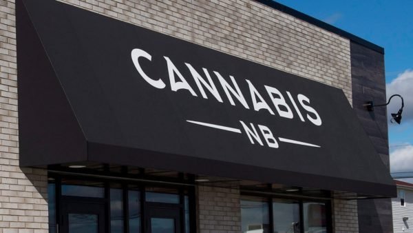 ﻿ Cannabis NB is entering a new era. More private stores are on the way with the possibility of on-site consumption and new non-traditional revenue streams.