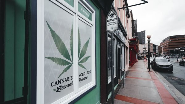 ﻿ The number of cannabis stores in Canada has stabilized and the cannabis sector started to decline in 2023 according to a new Statistics Canada report.