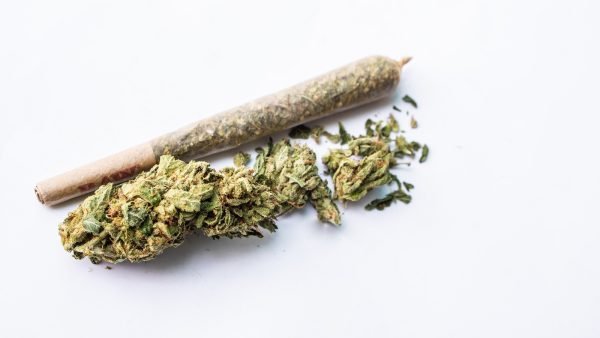﻿ In the first six months of 2023, pre-rolls as a category have grown 38.4% in total sales over the same period in 2022.