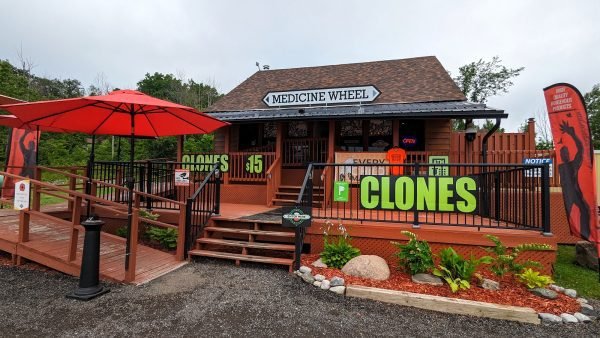 ﻿ Medicine Wheel Natural Healing is the first Indigenous cannabis dispensary to open in Alderville First Nation, part of a chain of unlicensed stores in Ontario.