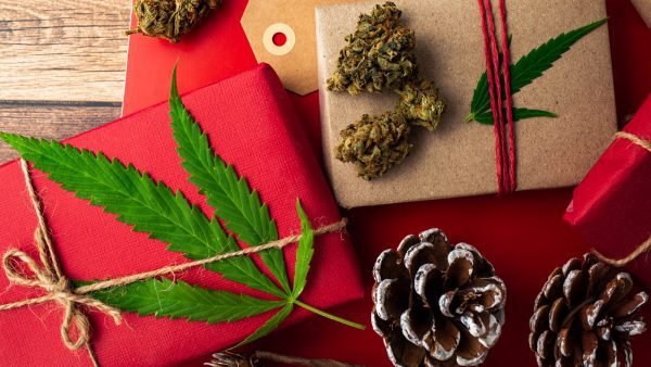 ﻿ The holiday season is fast approaching and holidays like Christmas are important for the cannabis industry in boosting retail sales.