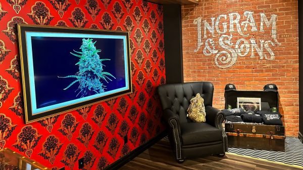 ﻿ It's the perfect time to begin having more nuanced discussions that go beyond THC. The Canadian consumer is primed to learn about terpenes.